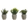 Plante décorative Home ESPRIT Polyéthylène Ciment Buda 10 x 10 x 21 cm (3 Unités)