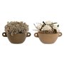 Plante décorative Home ESPRIT Fleur 22 x 22 x 14 cm (2 Unités)