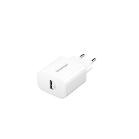 Intenso 1x USB-A Adapter weiß Universel Blanc Secteur Intérieure