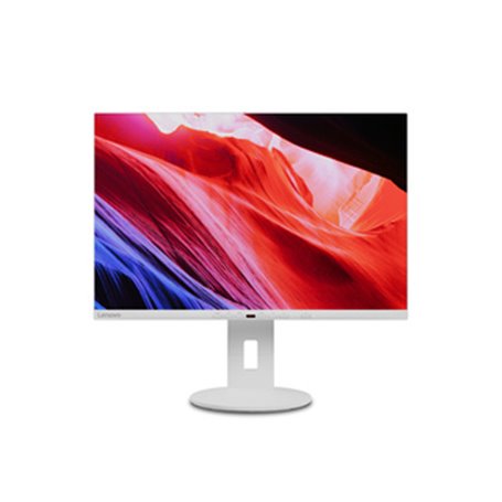 Lenovo C24D-20 24" LED Full HD 7 ms Gris