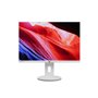 Lenovo C24D-20 24" LED Full HD 7 ms Gris