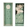 Doudou Carre douceur Chien Vert  - 18 cm