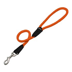 Laisse pour Chien Gloria 1 x 120 cm Orange