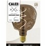 Lampe LED Calex 4 W