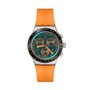 Montre Homme Swatch YVS529