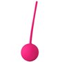 Vibromasseur à boules Dream Toys Flirts Rose