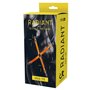 Balançoire Dream Toys Radiant