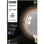 Ampoule LED E27 - CALEX - G125 SMART GLOBE - Filament droit - 7 W - 400 lm - 1800 K - Intensité variable - Smokey