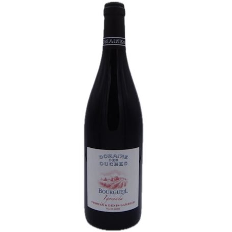 Domaine des Ouches 2021 Cuvée Igoranda Bourgueil - Vin rouge de Loire