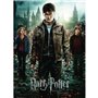 Puzzle 300 p XXL - Harry Potter et les Reliques de la Mort II