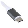 Hub USB-C iggual IGG319253 Noir Gris