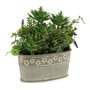 Plante décorative Gris Vert Ciment Plastique
