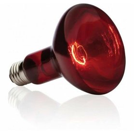 Lampe Exo Terra Basking Spot Infrarouges 75 W