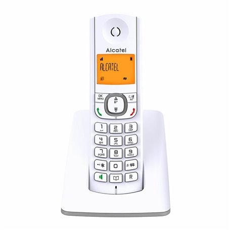 Téléphone Sans Fil Alcatel F530SG Gris Blanc/Gris