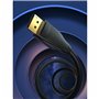Câble DisplayPort Vention HCDBI Noir 3 m