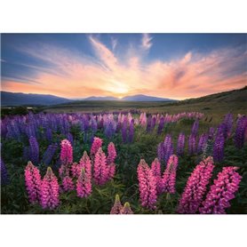 Ravensburger-Puzzle 500 pieces-Les lupins (Nature edition)-Des 12 ans - Puzzle de qualité supérieure-12000688