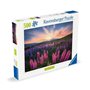 Ravensburger-Puzzle 500 pieces-Les lupins (Nature edition)-Des 12 ans - Puzzle de qualité supérieure-12000688