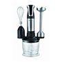 Mixeur plongeant Royalty Line Noir 800 W