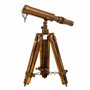 Figurine Décorative Alexandra House Living Bronze Télescope 2 x 25 x 4 cm