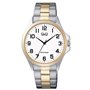 Montre Homme Q&Q C36A-017PY (Ø 40 mm)