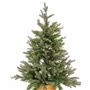 Sapin de Noël Vert Doré Polyéthylène 58 x 58 x 90 cm