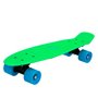 Skateboard Colorbaby (55 cm) Vert Plastique