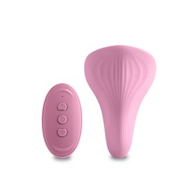 Vibromasseur NS Novelties Desire Bleu Rose