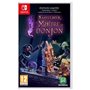 Le Maître du Donjon de Naheulbeuk - Jeu Nintendo Switch - Edition Limitée