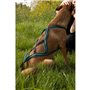 Harnais de traction pour chien - OLYMPIA - XXS - Type X-back - Bleu