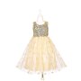 Robe de princesse Angelique 8/10 ans