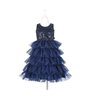 Robe de princesse Colette  8/10 ans