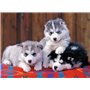 Puzzle XXL 200p Mignons Huskies