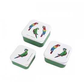 Set de 3 lunch box Les perroquets