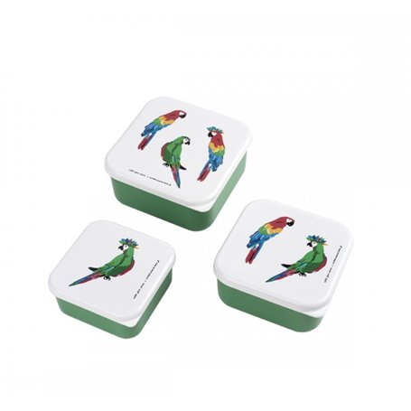 Set de 3 lunch box Les perroquets