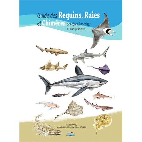 Guide des requins