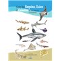 Guide des requins