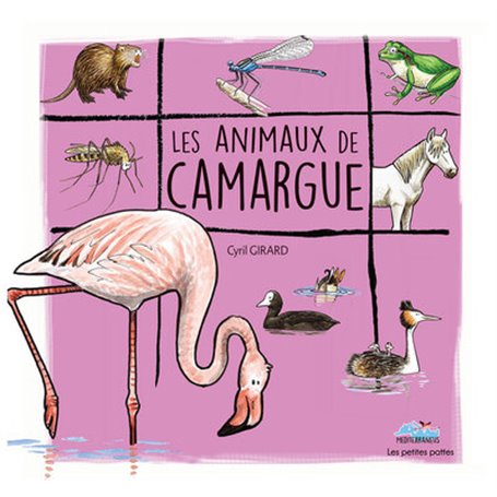 Les animaux de camargue