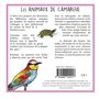 Les animaux de camargue