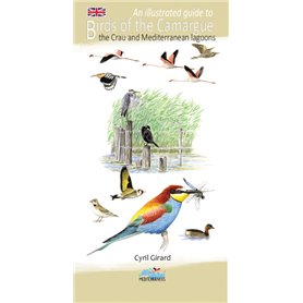 An illustrated guide to birds of the camargue and mediterranean lagoons