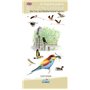 An illustrated guide to birds of the camargue and mediterranean lagoons