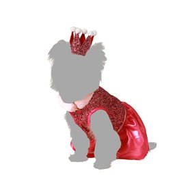 déguisement pour chien Taille M Princesse