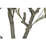 Arbre Home ESPRIT Polyéthylène Ciment Eucalyptus 80 x 80 x 220 cm