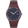 Montre Homme Swatch SO29R707