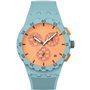 Montre Homme Swatch SUSL401