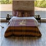 Housse de Couette Harry Potter Gryffindor 240 x 220 cm Gran lit 2 persones