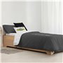 Housse de Couette Friends Friends Gris Anthracite 260 x 240 cm