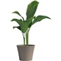 Pot de fleurs - GARDEN ID - Green Care Sense Taupe - 30 x 27 cm - Garantie de 10 ans - 100% recyclé - Résistance UV et g