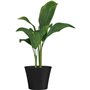 Pot de fleurs - GARDEN ID - Green Care Sense Noir-Anthracite - 30 x 27 cm - Garantie de 10 ans - 100% recyclé - Résistan