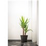 Pot de fleurs - GARDEN ID - Green Care Sense Noir-Anthracite - 30 x 27 cm - Garantie de 10 ans - 100% recyclé - Résistan