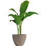 Pot de fleurs - GARDEN ID - Green Care Impact Taupe - 30 x 26 cm - Garanti 10ans - 100% recyclé - Résistant UV/gel